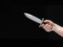 Fixed blade knife Böker Plus Apparo 5